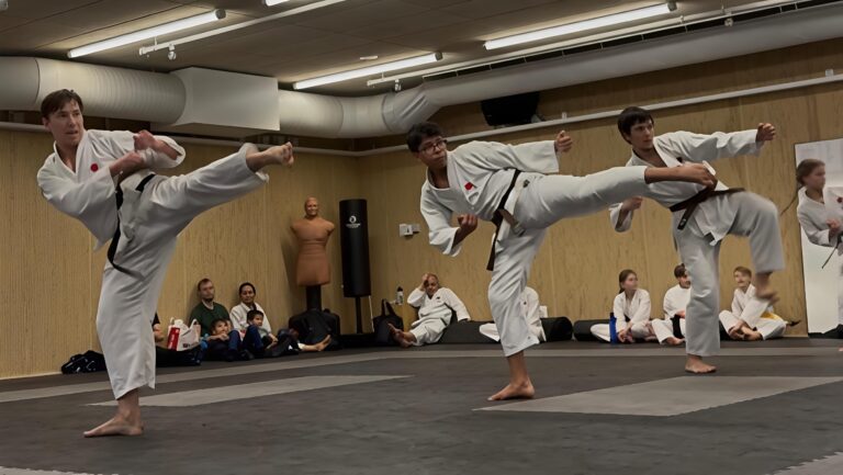 En bild på mig på min Karate gradering